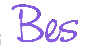 BES Logo